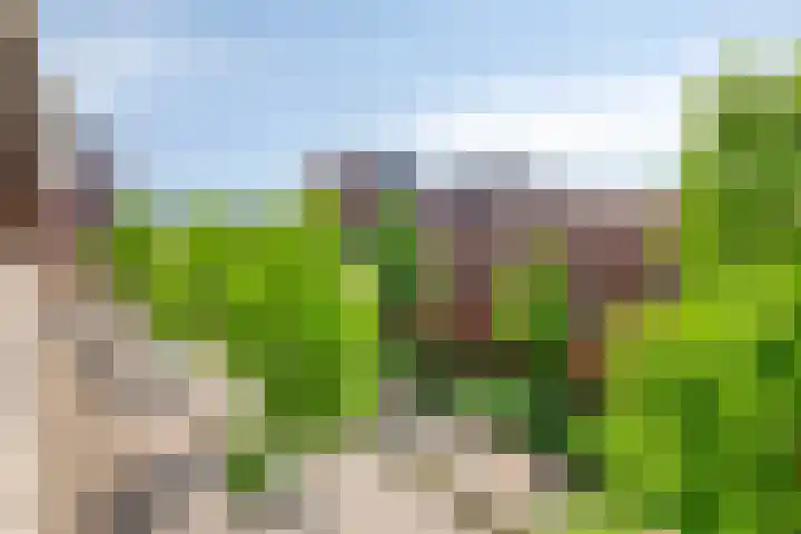 Onderwijsboulevard 486 's-Hertogenbosch thumbnail 14