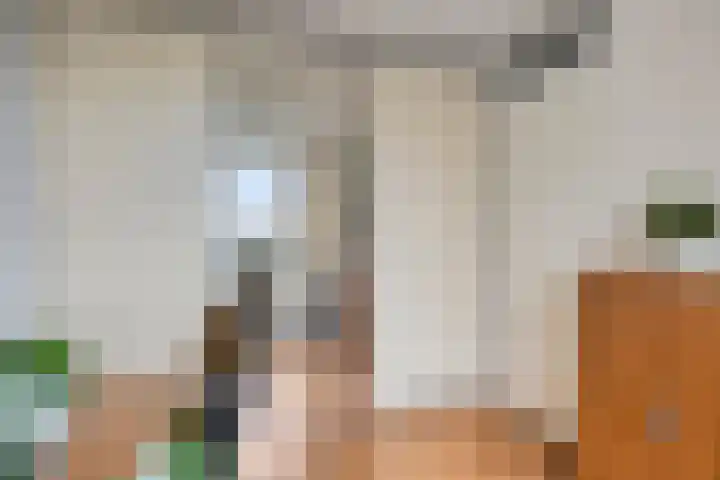 Onderwijsboulevard 486 's-Hertogenbosch thumbnail 22