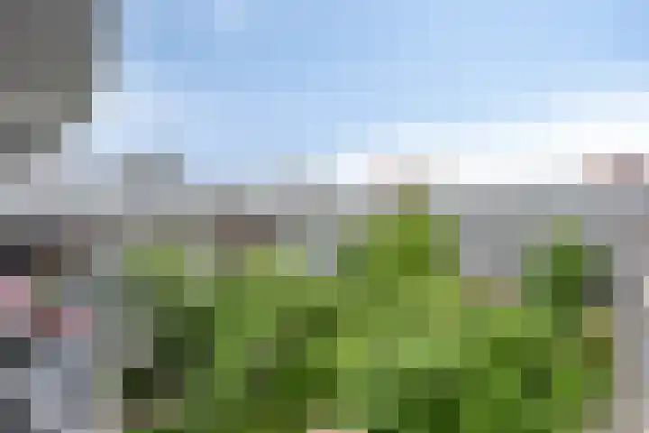 Onderwijsboulevard 486 's-Hertogenbosch thumbnail 27
