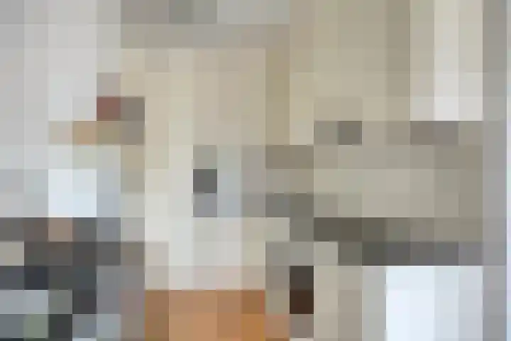 Onderwijsboulevard 486 's-Hertogenbosch thumbnail 8