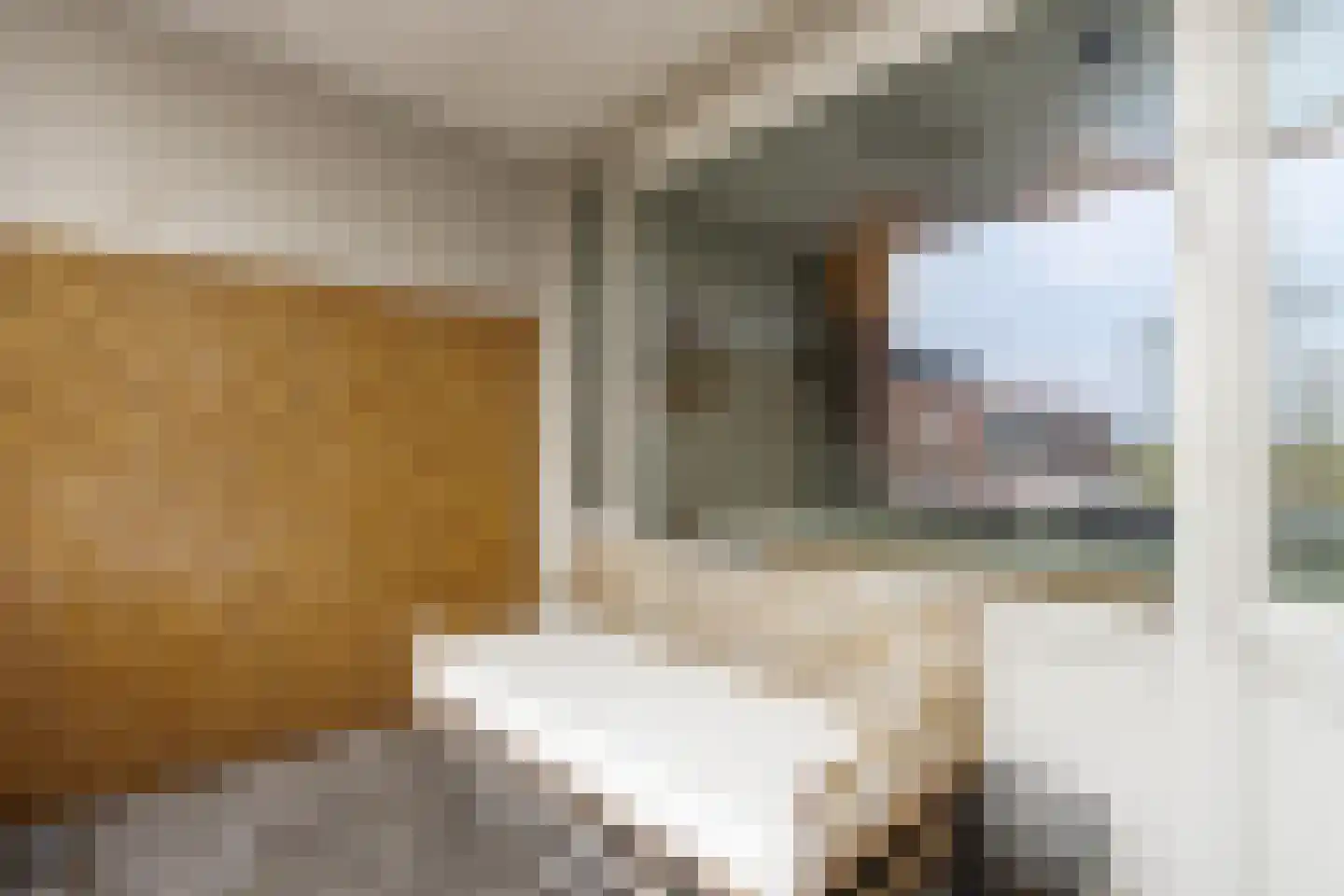 Onderwijsboulevard 626 's-Hertogenbosch thumbnail 34