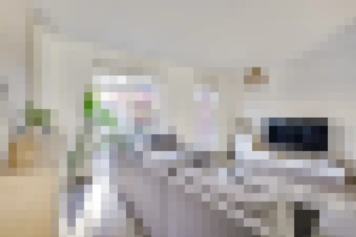 Ondiep 112 Utrecht thumbnail 10