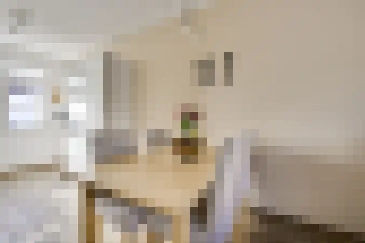 Ondiep 112 Utrecht thumbnail 17