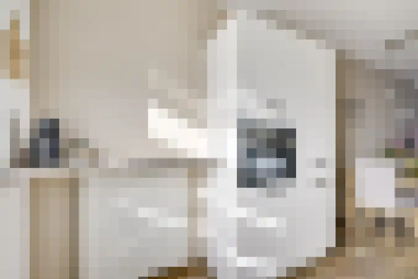 Ondiep 112 Utrecht thumbnail 19