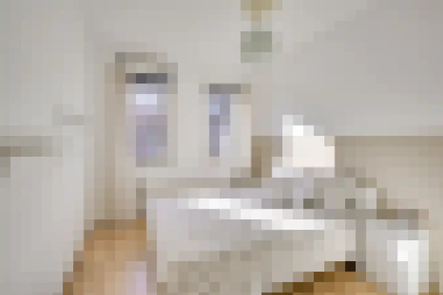 Ondiep 112 Utrecht thumbnail 24