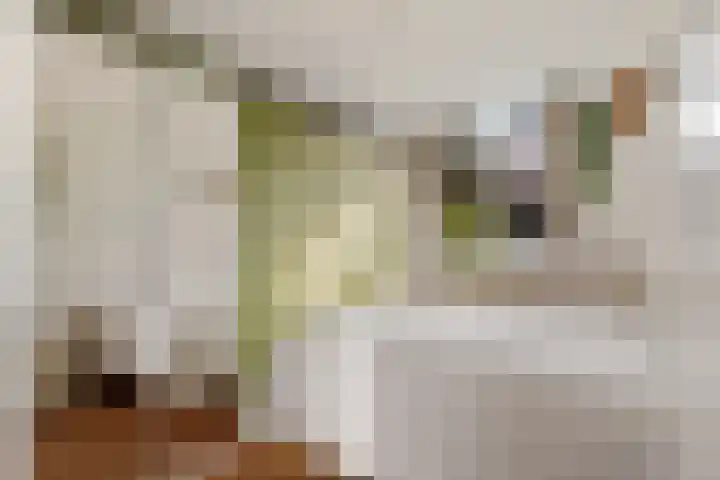 Ondiep 137 Utrecht thumbnail 15