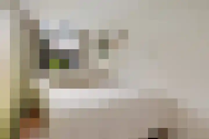 Ondiep 137 Utrecht thumbnail 16