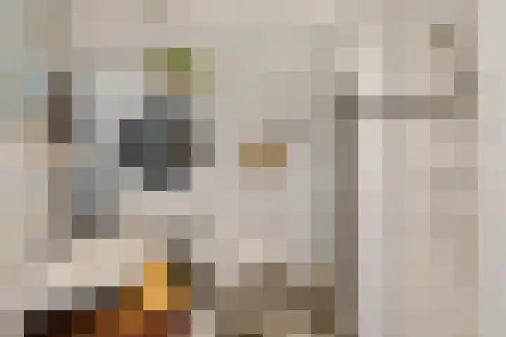 Ondiep 137 Utrecht thumbnail 18