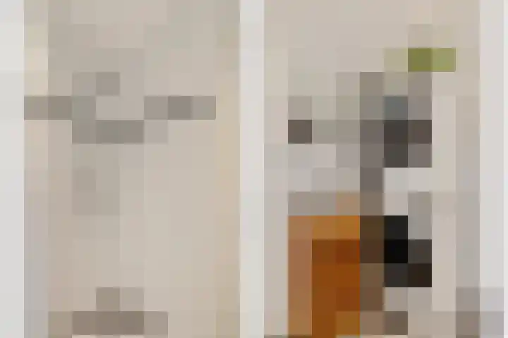 Ondiep 137 Utrecht thumbnail 19