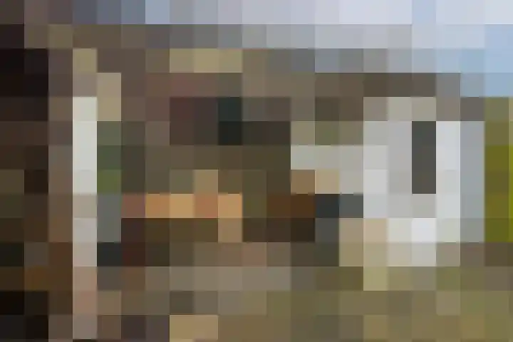 Ondiep 137 Utrecht thumbnail 21