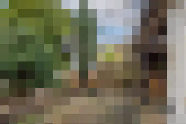 Ondiep 137 Utrecht thumbnail 22