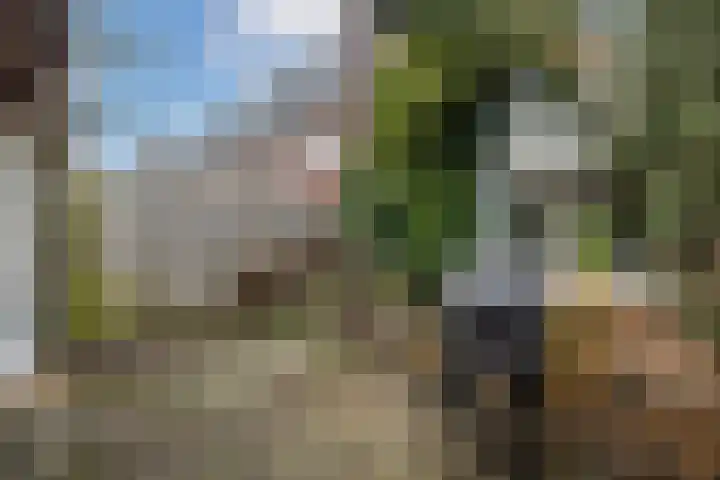 Ondiep 137 Utrecht thumbnail 23