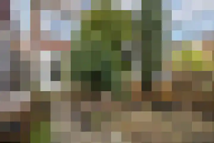 Ondiep 137 Utrecht thumbnail 24