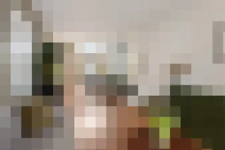 Ondiep 137 Utrecht thumbnail 7