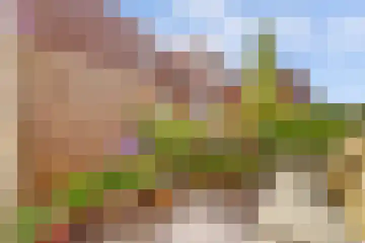 Ondiep 145 BS Utrecht thumbnail 14