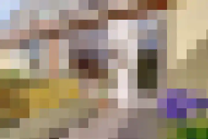 Ondiep 145 BS Utrecht thumbnail 15