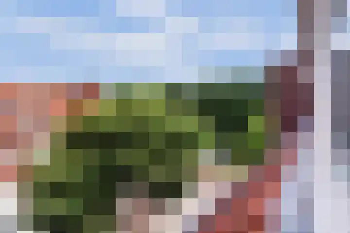 Ondiep 145 BS Utrecht thumbnail 28