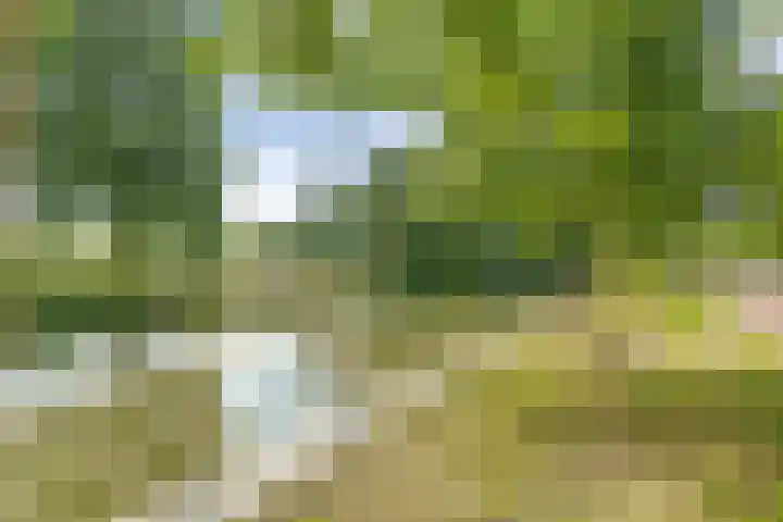 Ondiep 145 BS Utrecht thumbnail 44