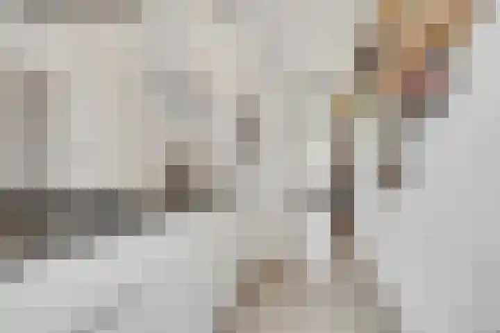 Ondiep 196 BS Utrecht thumbnail 11