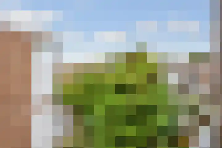 Ondiep 196 BS Utrecht thumbnail 20
