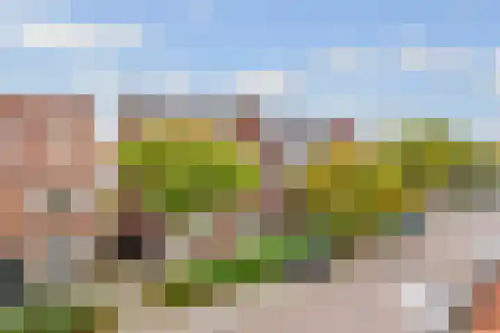 Ondiep 196 BS Utrecht thumbnail 24