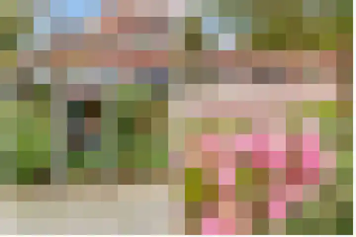 Ondiep 196 BS Utrecht thumbnail 29