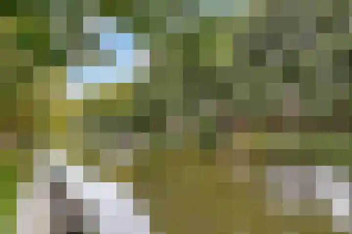 Ondiep 196 BS Utrecht thumbnail 34