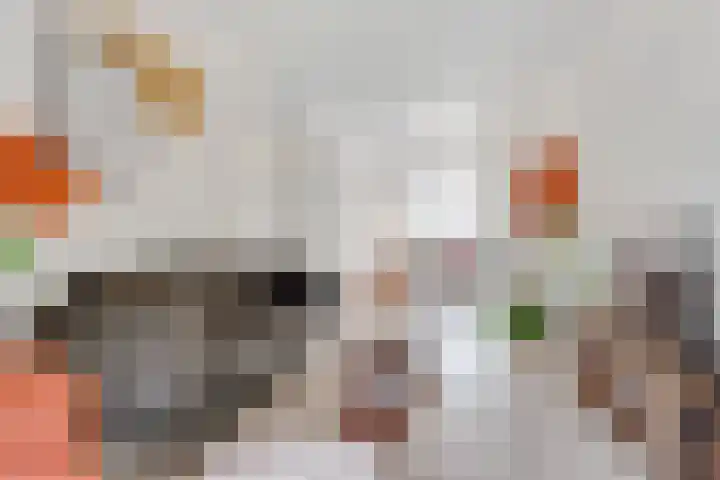 Ondiep 196 BS Utrecht thumbnail 7