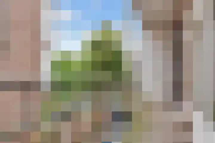 Ondiep 196 BS Utrecht thumbnail 9