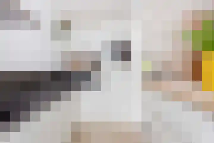 Ondiep 200 BS Utrecht thumbnail 18