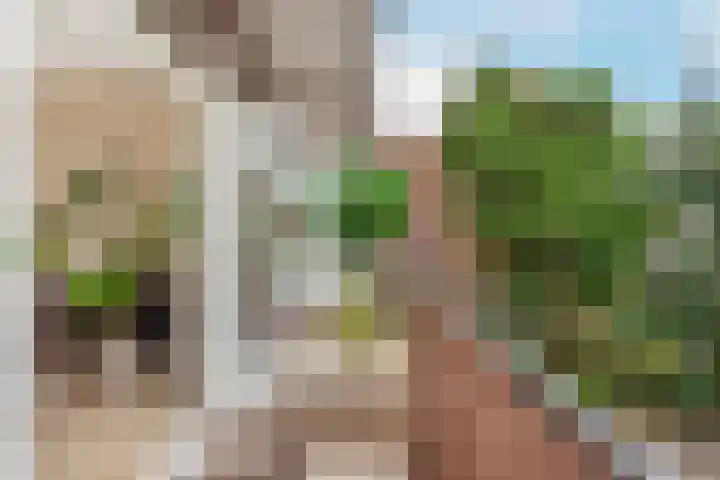 Ondiep 200 BS Utrecht thumbnail 19