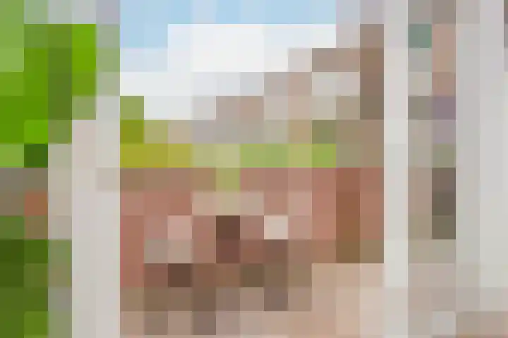 Ondiep 200 BS Utrecht thumbnail 20