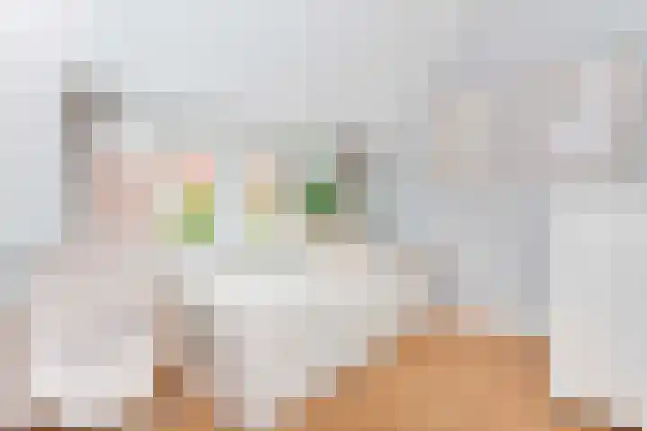 Ondiep 200 BS Utrecht thumbnail 27