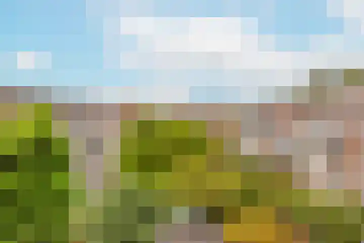 Ondiep 200 BS Utrecht thumbnail 37