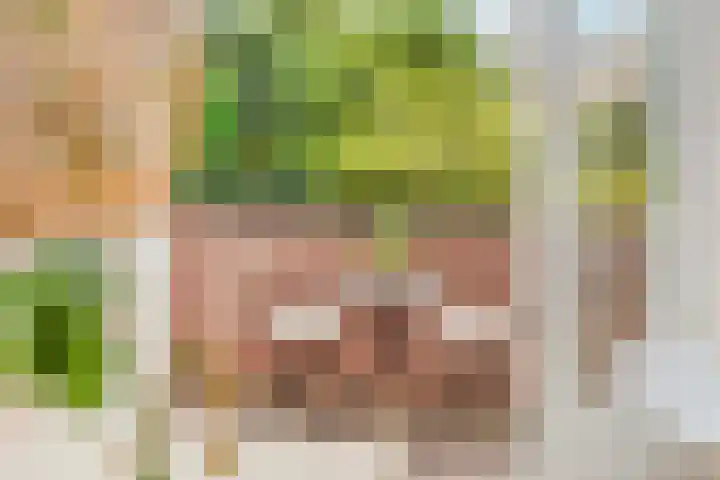 Ondiep 200 BS Utrecht thumbnail 4