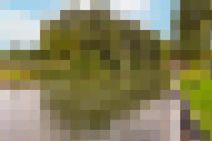 Ondiep 200 BS Utrecht thumbnail 41