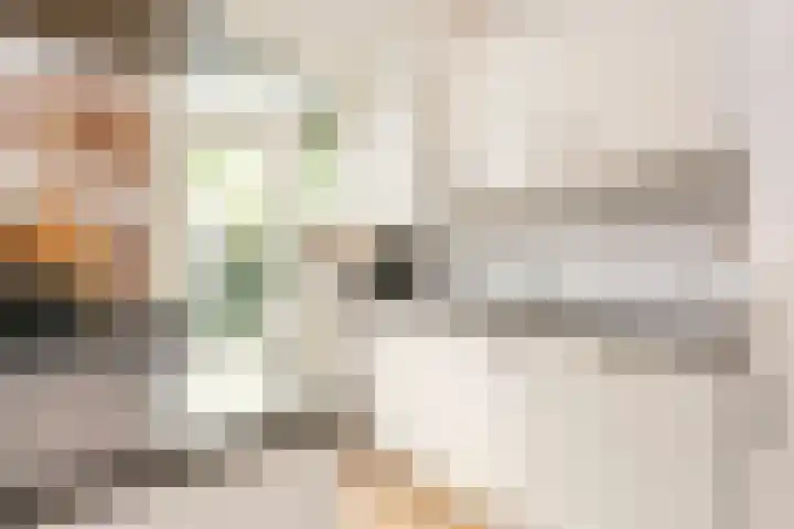 Ondiep 200 Utrecht thumbnail 11