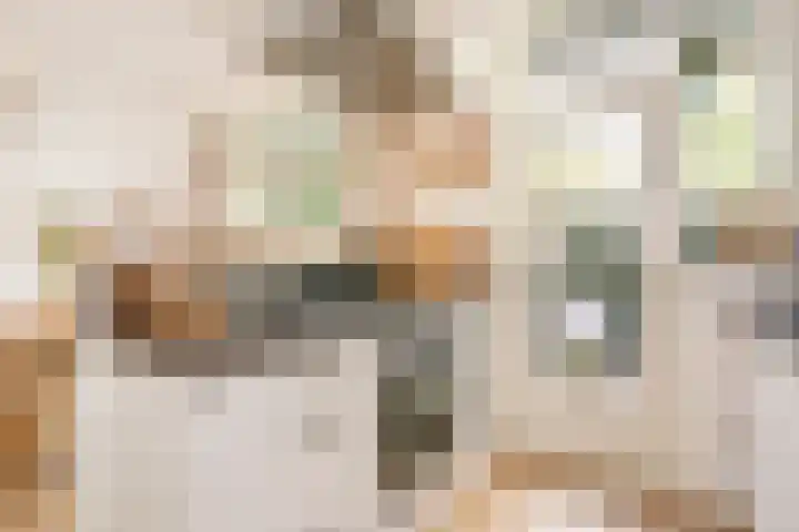 Ondiep 200 Utrecht thumbnail 12