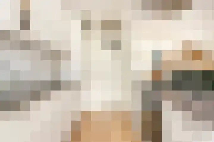 Ondiep 200 Utrecht thumbnail 13