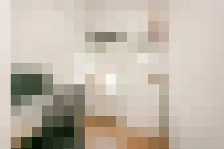 Ondiep 200 Utrecht thumbnail 18