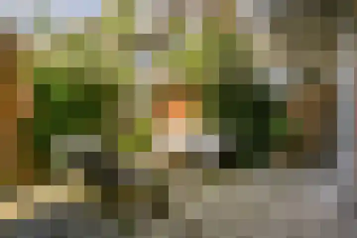 Ondiep 200 Utrecht thumbnail 22