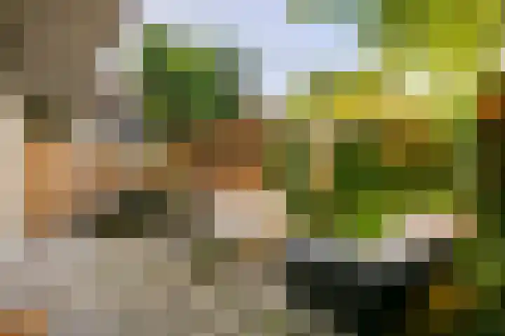 Ondiep 200 Utrecht thumbnail 23