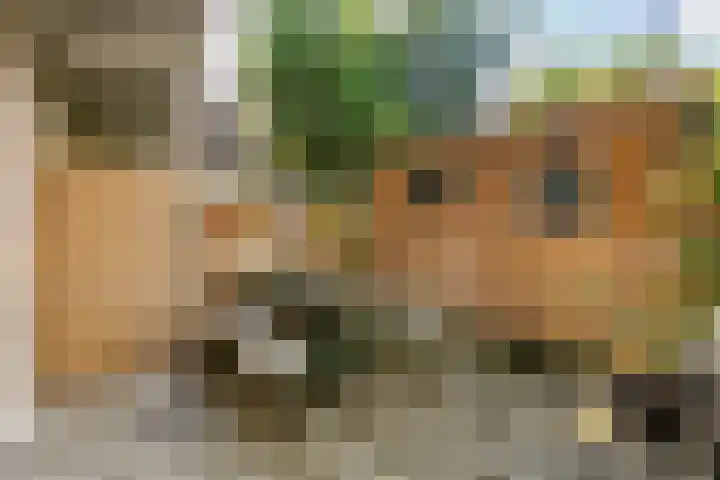 Ondiep 200 Utrecht thumbnail 24