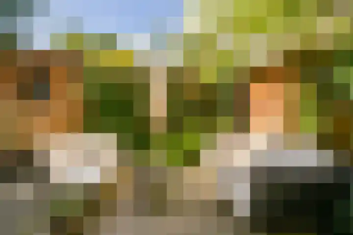 Ondiep 200 Utrecht thumbnail 25
