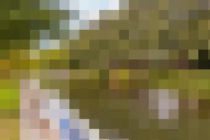 Ondiep 200 Utrecht thumbnail 30