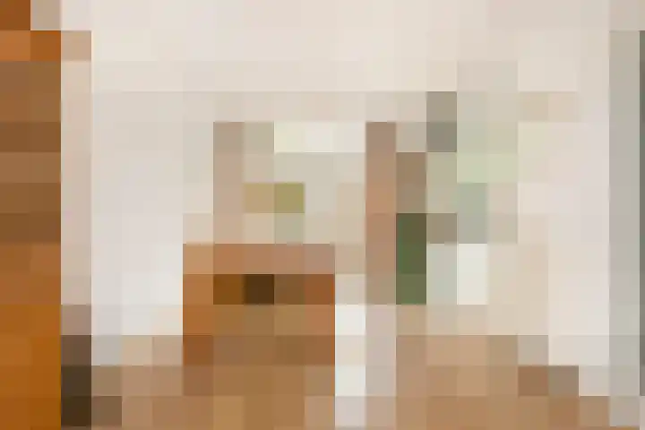 Ondiep 200 Utrecht thumbnail 9