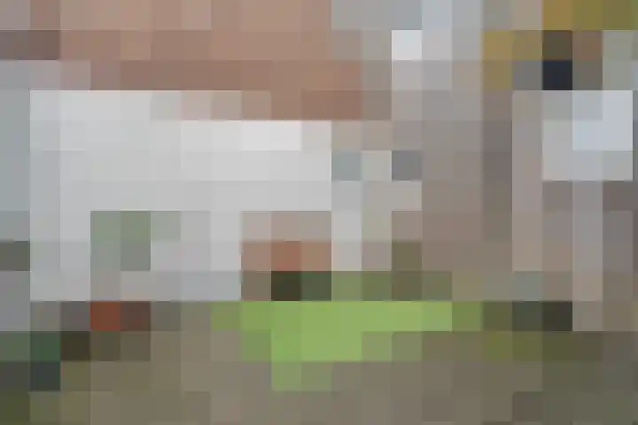 Ondiep 202 A Utrecht thumbnail 10