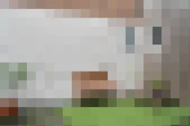 Ondiep 202 A Utrecht thumbnail 12
