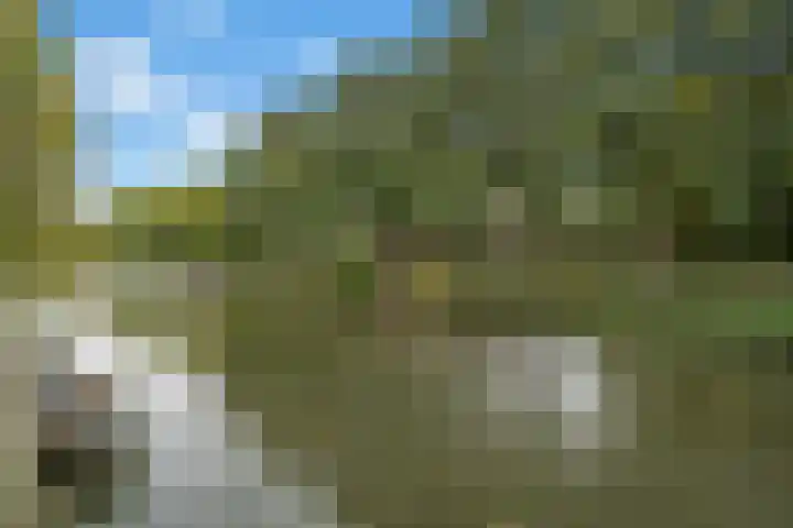 Ondiep 202 A Utrecht thumbnail 23