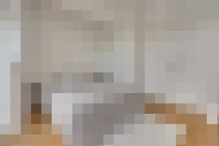 Ondiep 202 Utrecht thumbnail 15